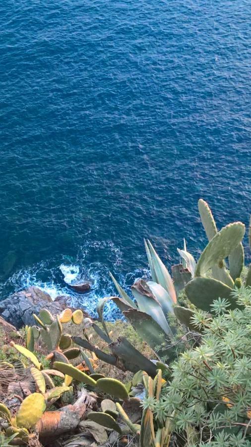شقة مونتيروسّو ال ماري  في The Pearl Of 5 Terre - Monterosso المظهر الخارجي الصورة